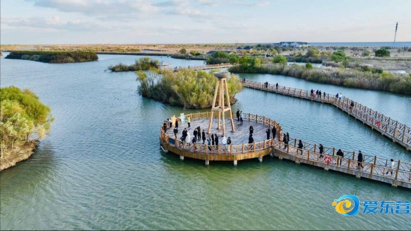 琼斯并没有 琼斯并没有